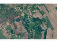 kep