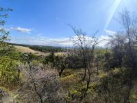 kep