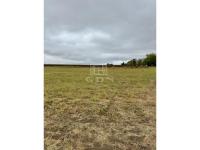 kep
